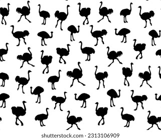 Closeup view cute fast speed go fun old fluffy huge wing tall pet rhea stand sand earth. Dark outline ink hand drawn zoo symbol sign icon design art doodle retro style white paper text space backdrop