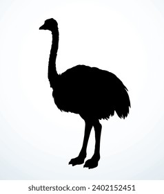 Closeup view cute fast speed go fun old fluffy huge wing long pet rhea stand sand earth. Dark outline ink pen paper hand drawn zoo symbol logo emblem art doodle engrav retro style white sky text space