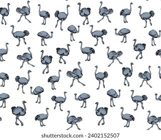 Closeup view cute fast speed go fun old fluffy huge wing tall pet rhea stand sand earth. Dark outline ink hand drawn zoo symbol sign icon design art doodle retro style white paper text space backdrop