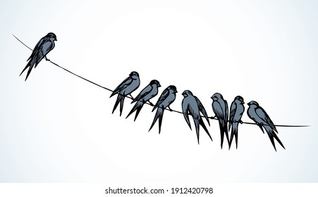 Closeup view cute lone martlet set. Light paper artwork text space backdrop. Outline dark ink pen hand drawn much electric cable logo pictogram emblem design. Modern artist doodle contour print style
