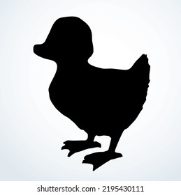 Closeup view cute river lake anser branta cygnus bill beak gaggle cub set white text space. Outline black hand drawn young neck wing plumage fauna fly zoo hunt line logo emblem retro art doodle style