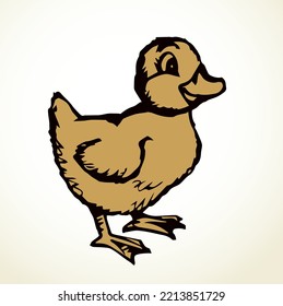 Closeup view cute river lake anser branta cygnus bill beak gaggle cub set white text space. Outline black hand drawn young neck wing plumage fauna fly zoo hunt line logo emblem retro art doodle style