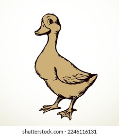 Closeup view cute river lake anser branta cygnus bill beak gaggle cub set white text space. Outline black hand drawn young neck wing plumage fauna fly zoo hunt line logo emblem retro art doodle style