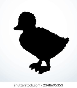 Closeup view cute river lake anser branta cygnus bill beak gaggle cub set white text space. Outline black hand drawn young neck wing plumage fauna fly zoo hunt line logo emblem retro art doodle style