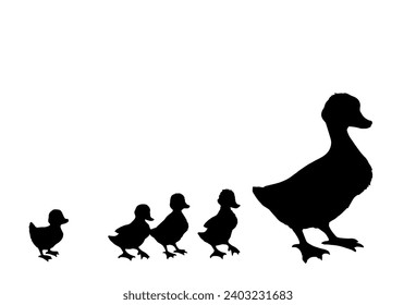 Closeup view cute river lake mom anser branta cygnus gaggle protect cub kid row set white text space. Black hand drawn young fluffy drake fauna go zoo road logo emblem vintage village line art style