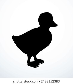 Closeup view cute river lake anser branta cygnus bill beak gaggle cub set white text space. Outline black hand drawn young neck wing plumage fauna fly zoo hunt line logo emblem retro art doodle style