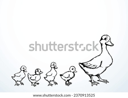 Closeup view cute river lake mom anser branta cygnus gaggle protect cub kid row set white text space. Black hand drawn young fluffy drake fauna go zoo road logo emblem vintage village line art style