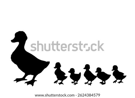 Closeup view cute river lake mom anser branta cygnus gaggle protect cub kid row set white text space. Black hand drawn young fluffy drake fauna go zoo road logo emblem vintage village line art style