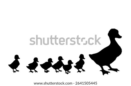 Closeup view cute river lake mom anser branta cygnus gaggle protect cub kid row set white text space. Black hand drawn young fluffy drake fauna go zoo road logo emblem vintage village line art style