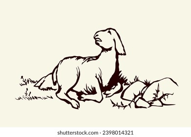 Closeup view cute small biblic young sick ram cub rest rustic ranch grass field Black line hand drawn bible sin story herd fall hurt leg pain die fear baa ask help look god care life old art sign icon