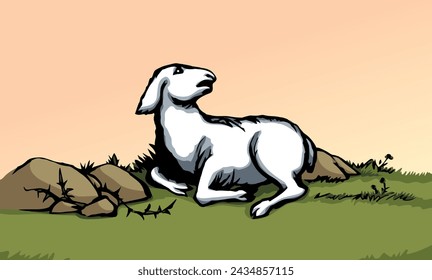 Closeup view cute small biblic young sick ram cub rest rustic ranch grass field Black line hand drawn bible sin story herd fall hurt leg pain die fear baa ask help look god care life old art sign icon