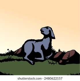 Closeup view cute small biblic young sick ram cub rest rustic ranch grass field Black line hand drawn bible sin story herd fall hurt leg pain die fear baa ask help look god care life old art sign icon