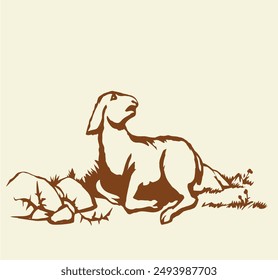 Closeup view cute small biblic young sick ram cub rest rustic ranch grass field Black line hand drawn bible sin story herd fall hurt leg pain die fear baa ask help look god care life old art sign icon