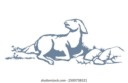 Closeup view cute small biblic young sick ram cub rest rustic ranch grass field Black line hand drawn bible sin story herd fall hurt leg pain die fear baa ask help look god care life old art sign icon