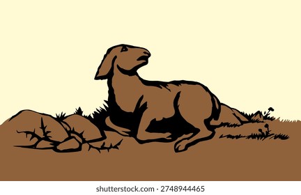 Closeup view cute small biblic young sick ram cub rest rustic ranch grass field Black line hand drawn bible sin story herd fall hurt leg pain die fear baa ask help look god care life old art sign icon