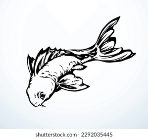 Closeup view cute small red Cyprinus carpio zoo tank bowl pet life white paper text space. Outline black ink pen hand drawn big gill fin meal bass cod ruff diet logo pictogram retro art doodle style