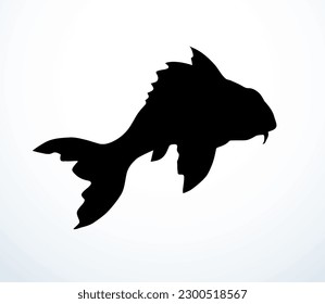 Closeup view cute small red Cyprinus carpio zoo tank bowl pet life white paper text space. Outline black ink pen hand drawn big gill fin meal bass cod ruff diet logo pictogram retro art doodle style