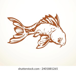 Closeup view cute small red Cyprinus carpio zoo tank bowl pet life white paper text space. Outline black ink pen hand drawn big gill fin meal bass cod ruff diet logo pictogram retro art doodle style