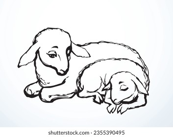 Closeup view cute sweet funny small biblical fur new young ram cub kid relax rustic country ranch zoo grass food text space scene. Black line hand drawn bible hoof horn herd mom joy look old retro art