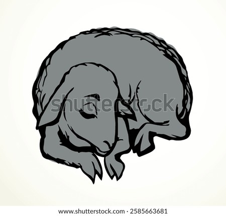 Closeup view cute sweet funny small biblical fur new young ram cub kid peace relax rustic ranch zoo grass food text space scene. Black line hand drawn bible hoof horn herd calf joy look old retro art