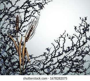 Closeup view dry good cereal crop twig. White text space. Black hand drawn Lord Jesus Christ new word sharp prickly stem danger icon border pattern picture design. Retro art cartoon line sketch style