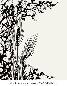 El grano crece en las espinas. Dibujo de vectores