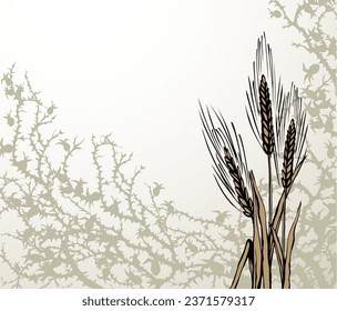 Closeup view dry good cereal crop twig. White text space. Black hand drawn Lord Jesus Christ new word sharp prickly stem danger icon border pattern picture design. Retro art cartoon line sketch style