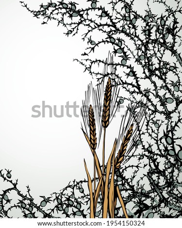 Closeup view dry good cereal crop twig. White text space. Black hand drawn Lord Jesus Christ new word sharp prickly stem danger icon border pattern picture design. Retro art cartoon line sketch style