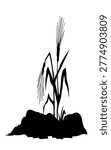Closeup view dry ill sick wilt danger faint fade withered corn weed bush plant chaff leaf white sky text space. Black outline ink pen hand drawn god Jesus Christ gospel spiritual sower word stem branch retro story art cartoon line style logo emblem