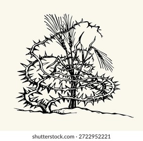 Nahaufnahme Blick trocken krank Schmerzen tare Spreu guten Mais Zweig weißen Himmel Text Raum. Dunkelschwarzer Umriss Tinte Stift handgezeichnet Gott Jesus Christus Evangelium Wort Säer Geschichte floral stachelig gerissen Stamm Flora Blatt Laub Botanik Logo Emblem Bild Retro-Linie Kunst Stil