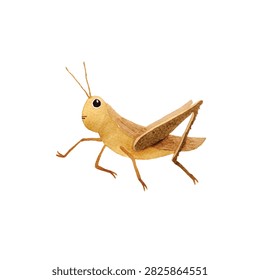 Closeup view of a grasshopper model