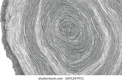 Close-up view of gray tree rings showing organic growth patterns and texture.