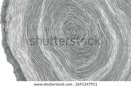 Close-up view of gray tree rings showing organic growth patterns and texture.