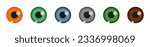 Closeup view of human eye pupils with different colors isolated on white background. Espionage, curiosity, spying, surveillance concept. Vector realistic illustration.