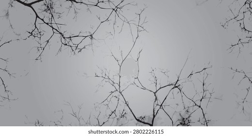 Close-up view of intricate, bare tree branches silhouetted against a soft, overcast sky.