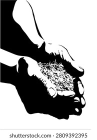Closeup view old ancient antique palm collect whole ripe barley rye flake give earth healthy grass yield oat corn eat white sky text space. Dark black drawn biblic ground land feed rice spring season concept retro female girl slave beg god art style