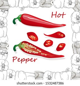 Closeup view pepper on white background, raw food ingredient concept. Hand made vector illustration.