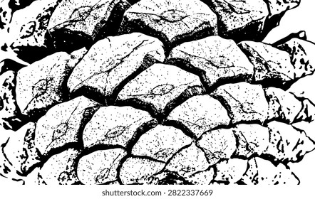 Close-up view of pinecone scales reveals intricate natural texture during daylight. Ideal for nature botany or abstract design backgrounds.