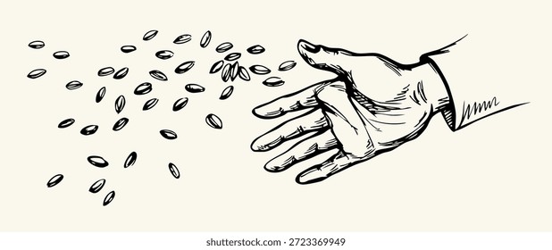 Closeup view poor rough old female palm arm hold drop pour develop earth dirt healthy rye grass yield whole oat corn eat crop white sky text space. Outline black ink drawn biblic land concept retro line cartoon god Jesus Christ story art sketch style