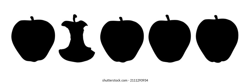 Closeup view ripe raw fresh big sweet tropic grow zukini cucurbitaceae fruitful light text space backdrop. Bright dark color hand drawn health eco growth snack object picture sketch art doodle style
