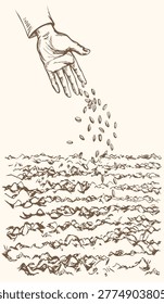 Closeup view rough old female sower palm arm hold drop pour develop earth dirt healthy rye grass yield whole oat corn eat crop white sky text space. Outline black ink drawn biblic land concept retro line cartoon god Jesus Christ story art sketch style