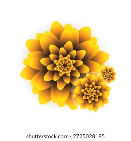 A close-up view of three dahlia flowers, showcasing their intricate petal patterns and rich yellow and orange hues, arranged elegantly.