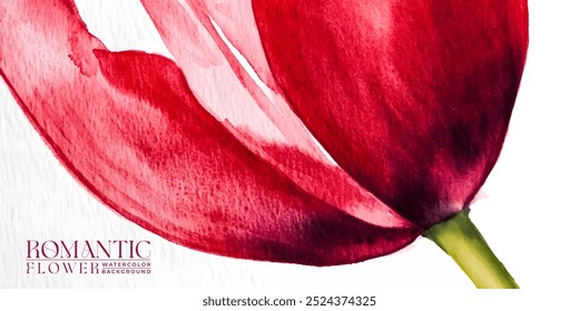 A close-up watercolor painting of a single red tulip petal against a white background.