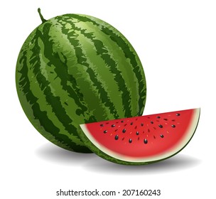 Closeup of watermelon (whole and slice) on white background. vector Illustration