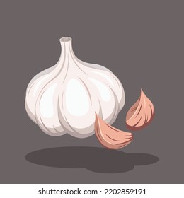 Close-up White Garlic with Garlic Pieces Vector Illustration | Garlic in Different Angles | Flat Design Isolated | Kitchen Cooking Ingredients |Flavour Aroma Ingredient | Vegetable Illustration