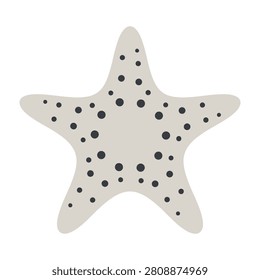 Closeup of white starfish with black spots on body isolated on white background