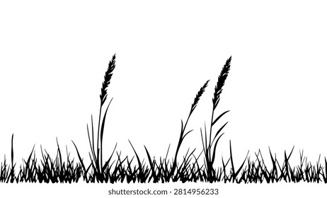 Close-up of wild grass blades swaying, captured in silhouette style with a plain white background, emphasizing natural textures and organic shapes.