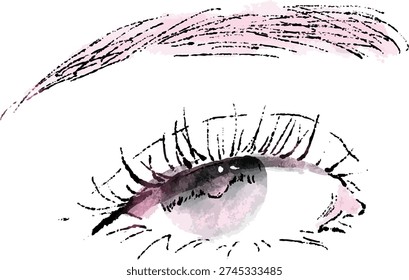 Close-up of a woman's eye makeup. Eyelash extensions. Cosmetic image illustration.