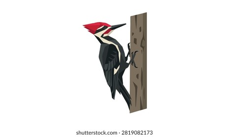 Close-up of a woodpecker on a tree trunk showcasing vibrant red black and white feathers ideal for nature enthusiasts and bird watchers