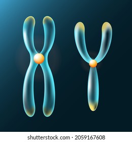 75,248 Chromosome structure Images, Stock Photos & Vectors | Shutterstock